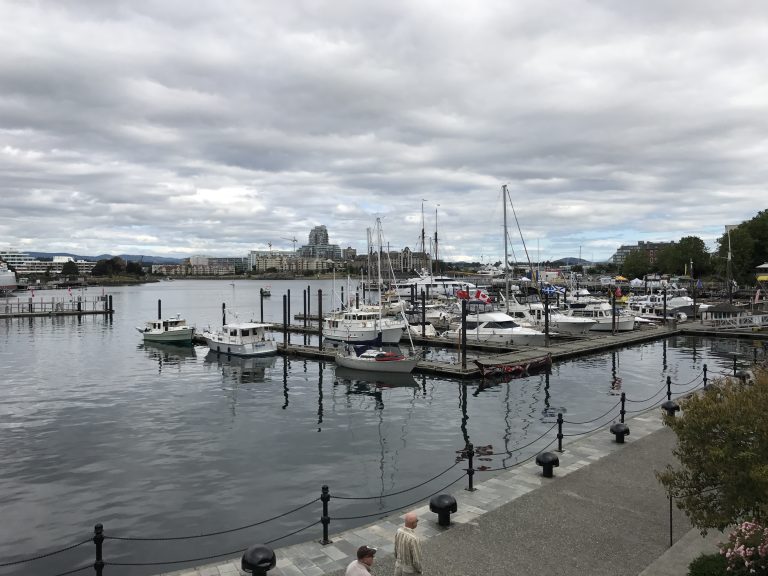 Some docks with boats attached in Victoria Harbour on an overcast day.