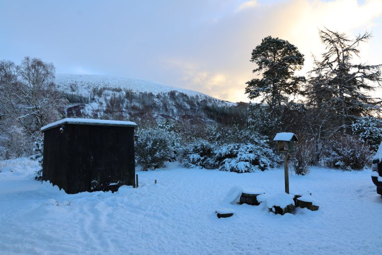 Garden under snow in the Scottish Highlands