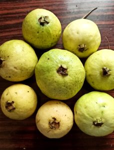 Guava Fruit