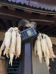 Dried corn cobs hanging in between old radio and horn at the top