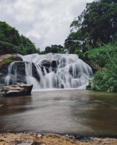 The river cascades down rocky cliffs, surrounded by towering trees and vibrant green foliage, and the sky above filled with clouds. Kotagiri Waterfall, Tamil Nadu.  