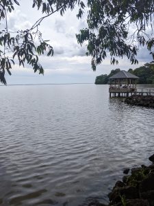 The shore of Lake Victoria from Uganda. 