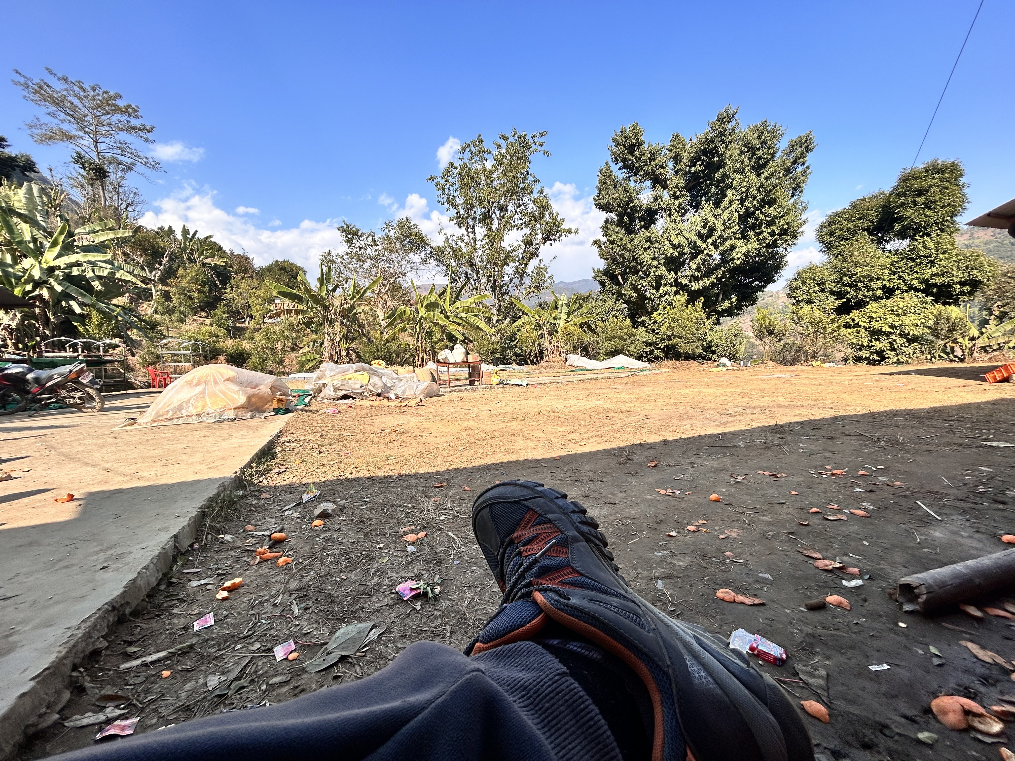 Sitting in an orange farm, showing hiking shoes
