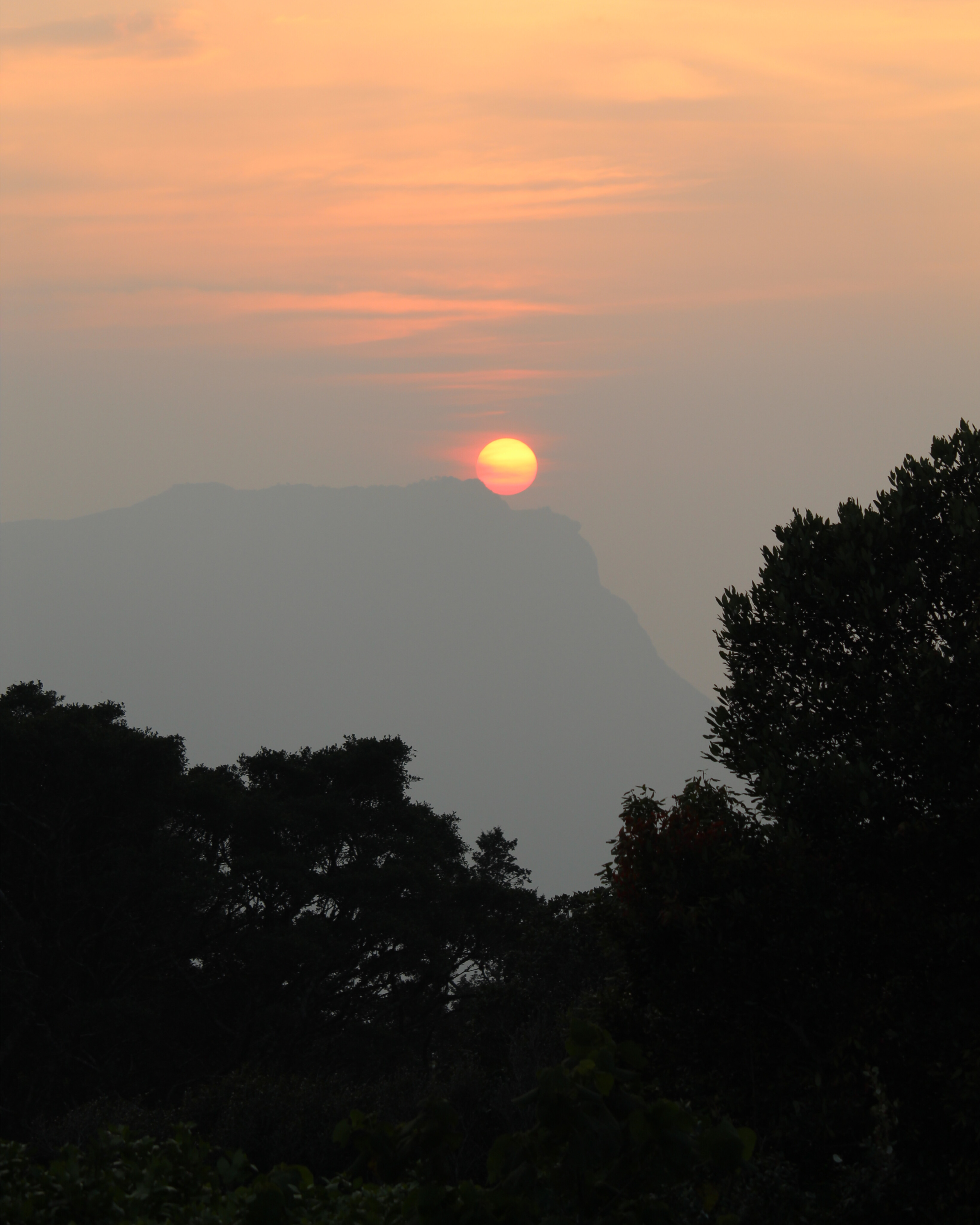 Sunset setting over a mountain and silhouette of leaves and trees in the foreground. Nelliampathy Hills Kerala.
