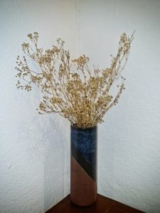 Indoor decorative plant.