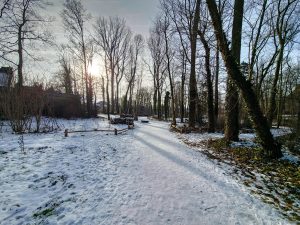 A snow-white walking path in a local park in Belgium
