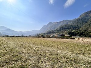 Arjunchoupari Village: Embraced by green hills, bathed in the morning sun's golden rays!