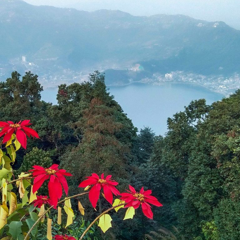 Fewa Lake From Peace Pagoda Pokhara