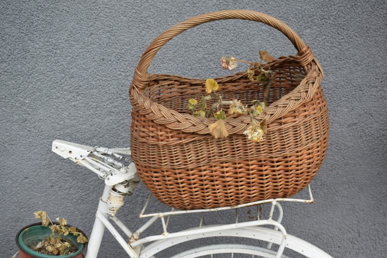 Basket with the plants on the back of the bicycle.