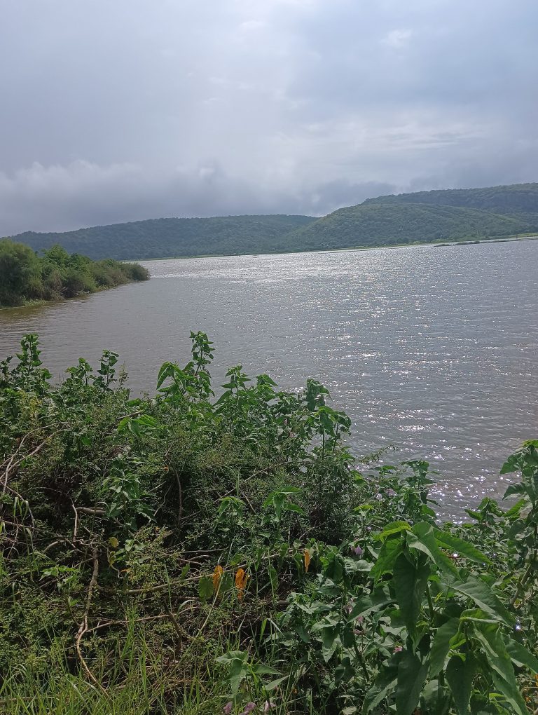 A large, calm body of water with sunlight reflecting on the surface. There are green hills in the distance under a cloudy sky. Green plants and trees are in the foreground.