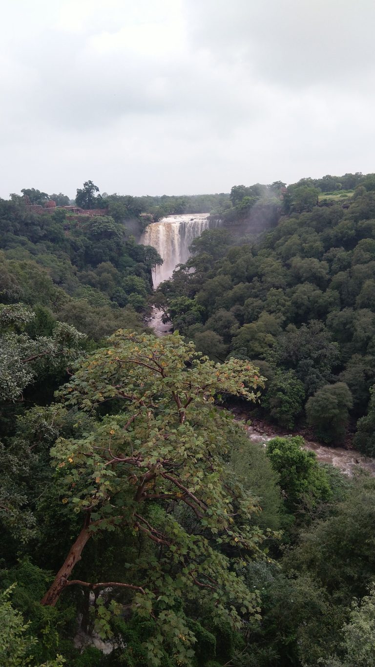 Waterfall in the forest amidst lush greenery viewed from a height, showcasing nature’s beauty and tranquility.