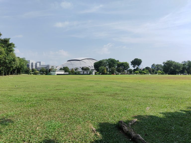 A large grassy field with a domed building in the background