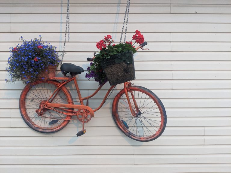 A bike is hanging against a white wall outside, with planted flowers in the front basket and on the back seat.