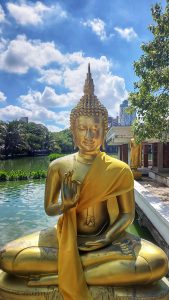 A golden budha statue with a pond with a blue sky in the background