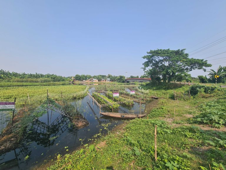 Floating crop fields with canoe and blue sky