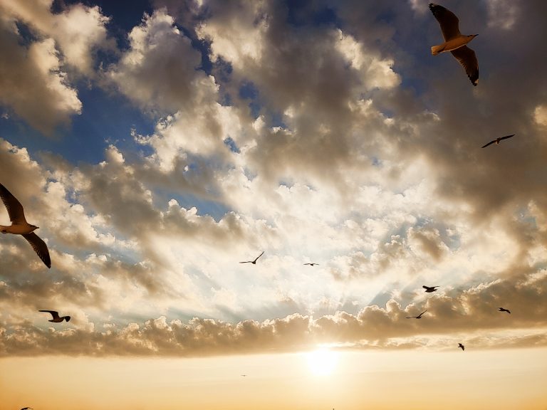 A cloudy sky with birds overhead during sunset