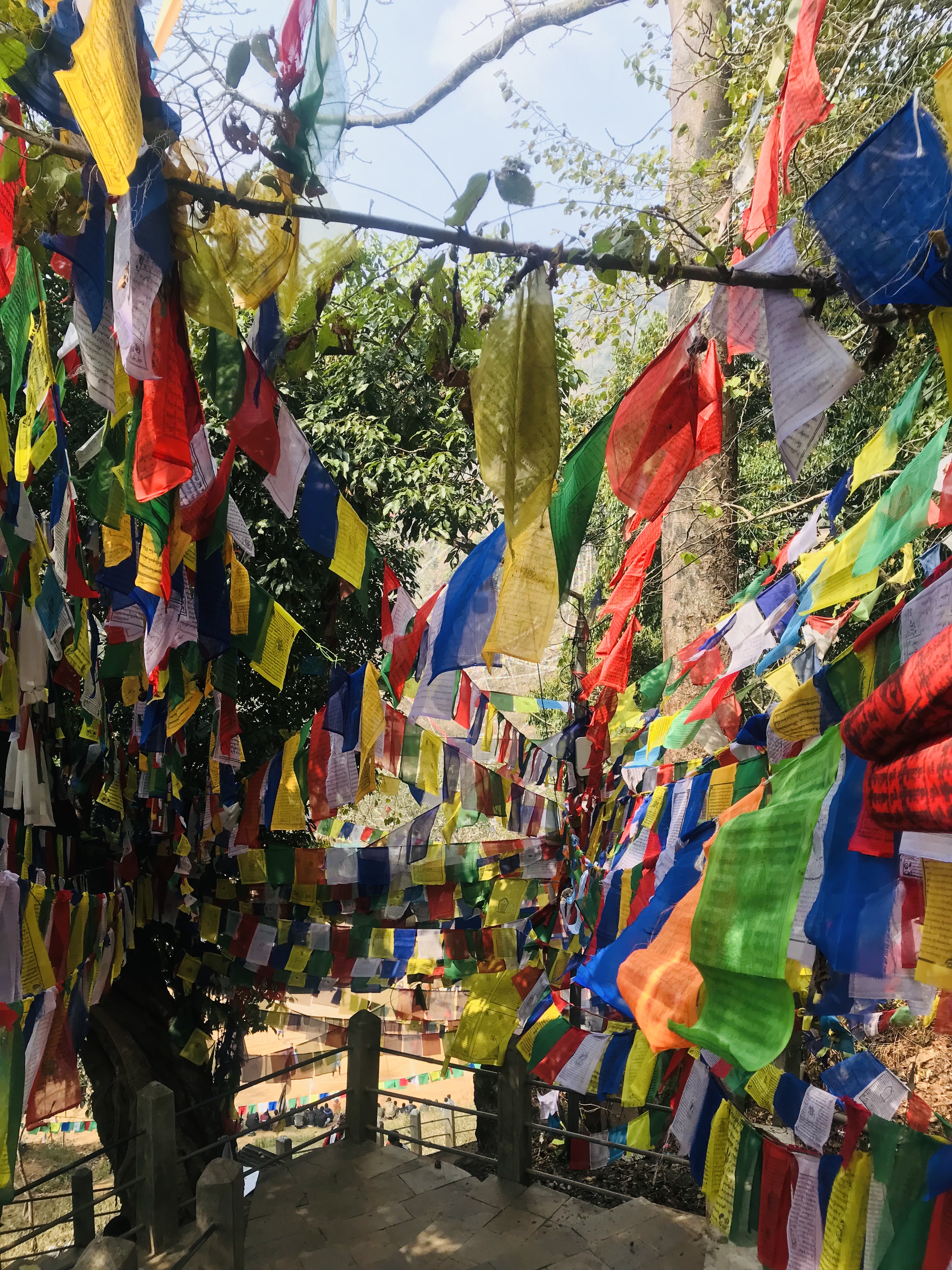 Different colored Tibetan Affirmation Prayer Flags hanging from above.