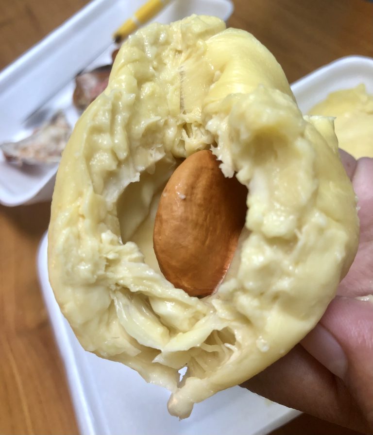 A close-up of a durian, known as the king of fruits.