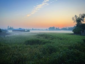 A Countryside scene during morning with a misty field, patches of trees, some structures, and a colorful sky with hues of orange and blue.
