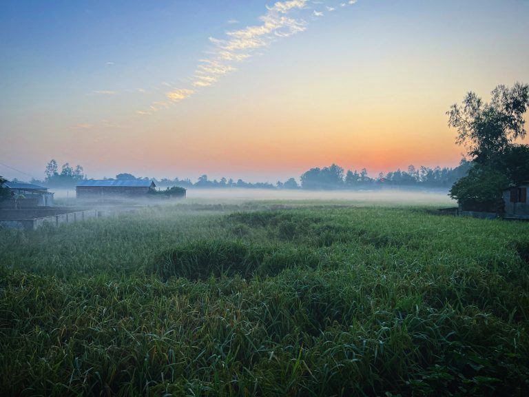 A Countryside scene during morning with a misty field, patches of trees, some structures, and a colorful sky with hues of orange and blue.