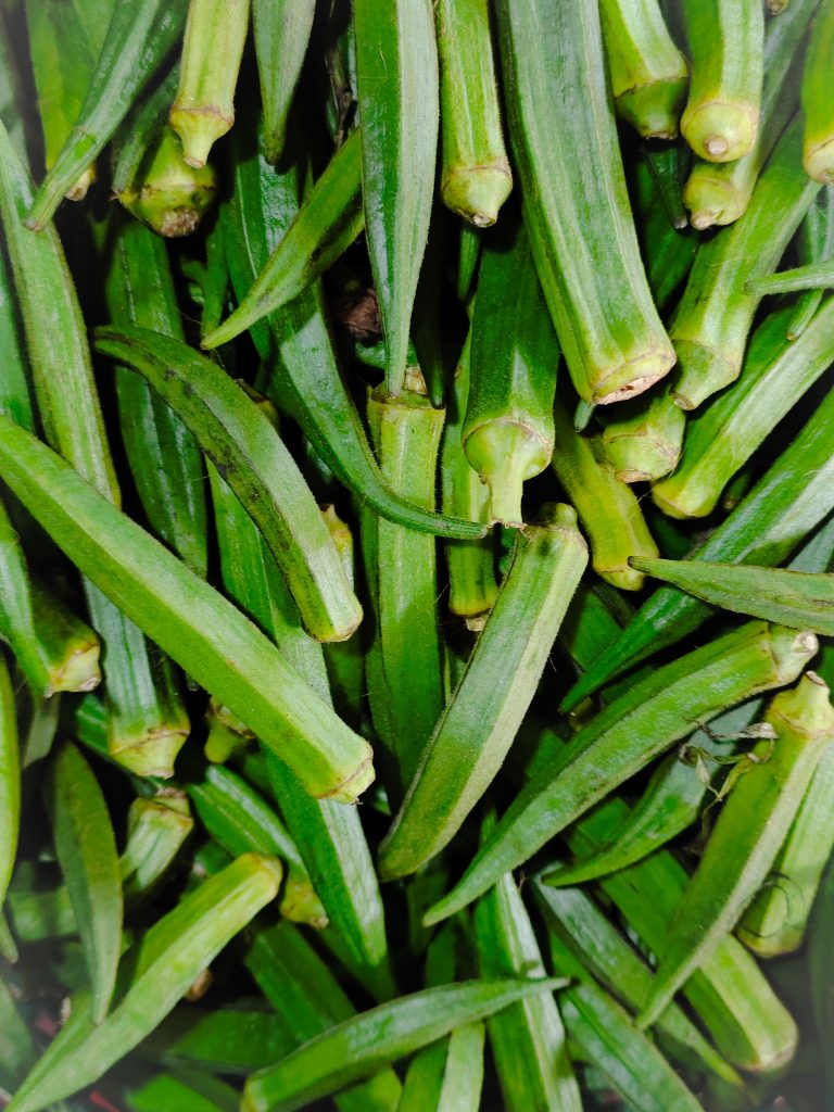 Fresh lady finger also known as okra.