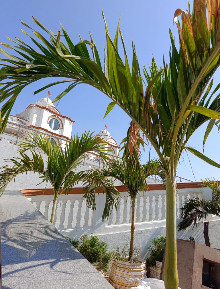 Palm trees grow in decorative clay pots in front of temple on a bright blue sky cloud free day, A flag flies from the top of each of the temple roof domes. #WPKeralaPhotos