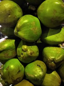 A collection of newly picked green coconuts.