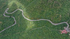 Aerial view of a winding road with greenery. 

