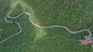  Aerial view of a winding road with greenery. 
