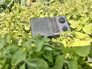 Portable fm radio in the greenery field!
