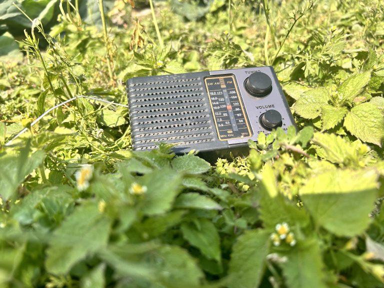 Portable fm radio in the greenery field!