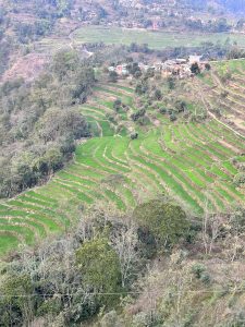 In Nepal, fields on a hillside are shaped like steps.