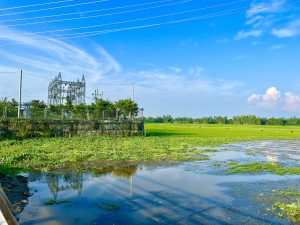 An electrical substation next to a flooded green agricultural field under a clear blue sky.