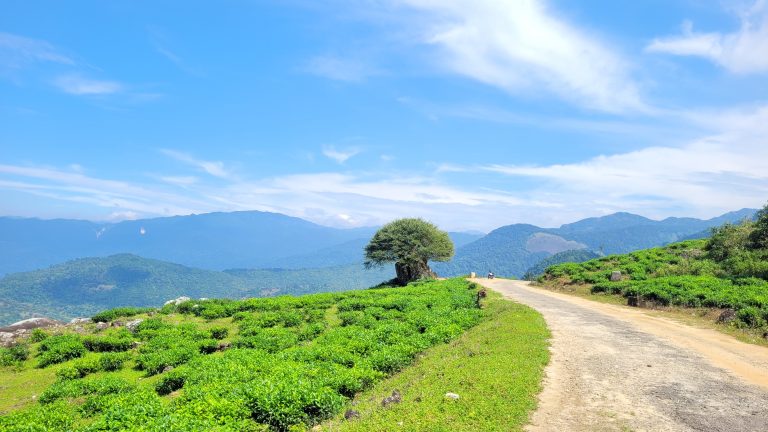 A road going in top the mountain with blue sky and lush greenary with mountains range in the background.