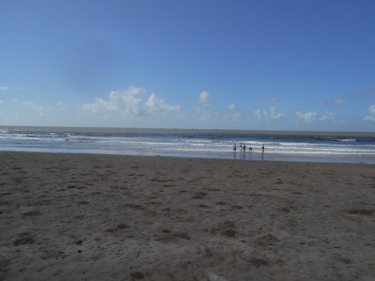 Seascape, five people paddling in the sea on the shoreline as the waves roll in.