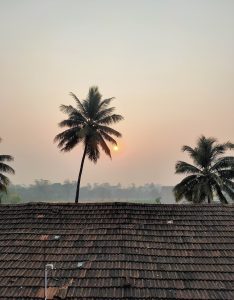 A picturesque sunrise in the countryside, with the sun emerging behind a graceful coconut tree and casting a warm glow on a quaint home with a charming, old-fashioned roof.