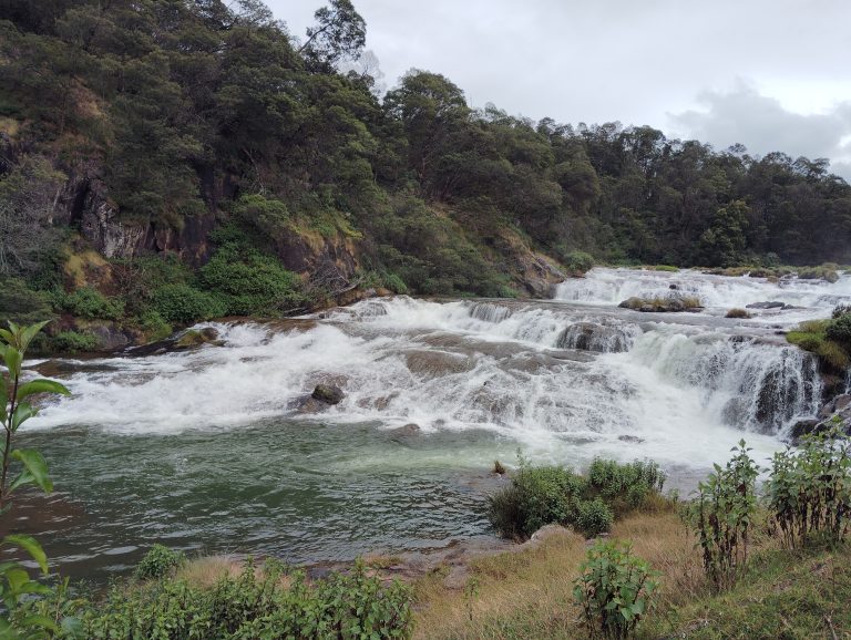 River flowing over rocks in a forest.