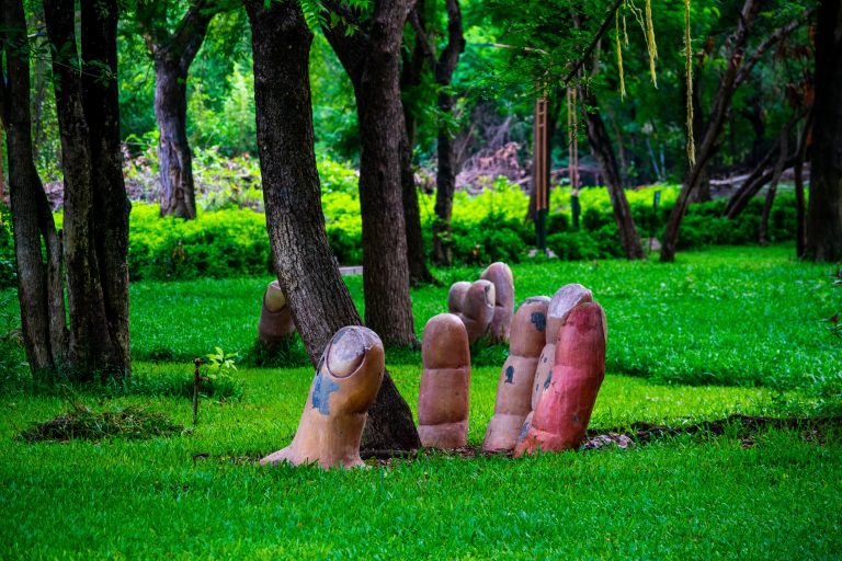 Helping hand for trees, sculpture of giant fingers coming out of the ground as if cupping a tree in its palm.