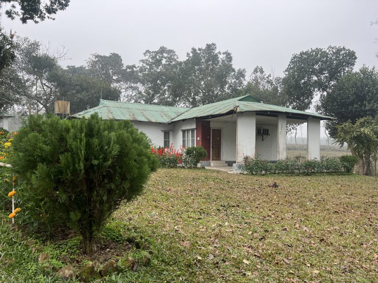 A small green house surrounded by an open field.