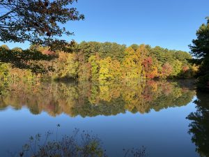 view of a large lake on a sunny day at fall with the leaves changing colors of red, orange, yellow
