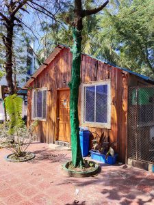 A small wooden house with a tree.