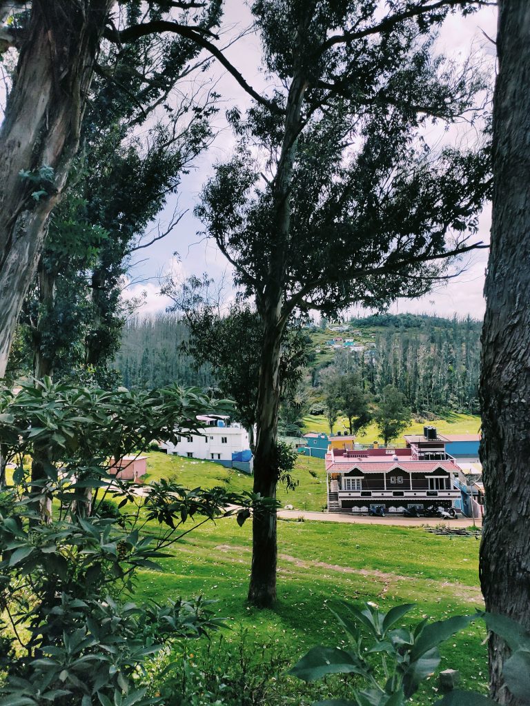 Looking at colorful houses in a valley through trees on a hillside.