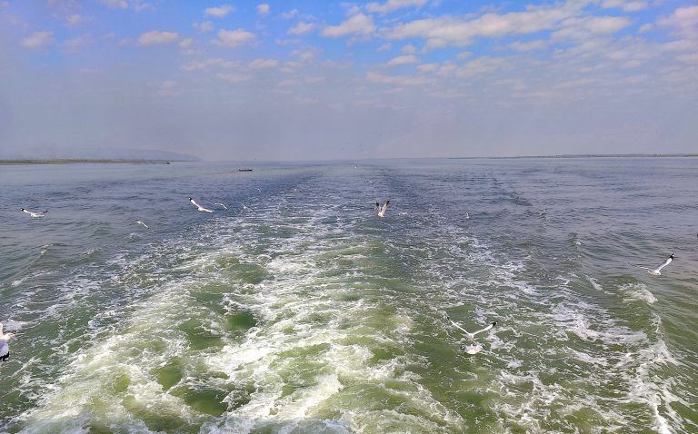 Teknaf to Saint Martin seascape from a boat, water wake trails as Black Winged Gulls soar above looking for food. To the left there a is small boat in the distance and a mountain on the horizon.