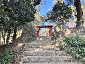 A gate leading into the lush jungle, where picnics await inside.