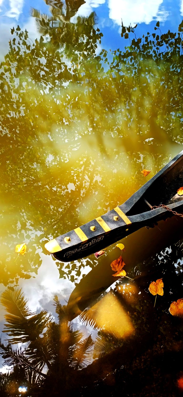 Tip of a chundan vallam (also known as Kerala snake boats, are iconic in Kerala culture and are used in the Vallamkali boat race.) and reflections of the surrounding trees in the water,