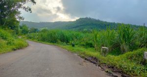 A scenic photograph capturing a road leading to a small village, nestled against the backdrop of rolling hills, inviting a peaceful exploration into the heart of nature.