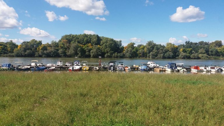 Small powerboats dock against the jetty of a tree lined river.