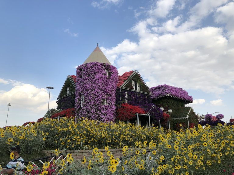 A house covered in flowers at Dubai miracle garden.