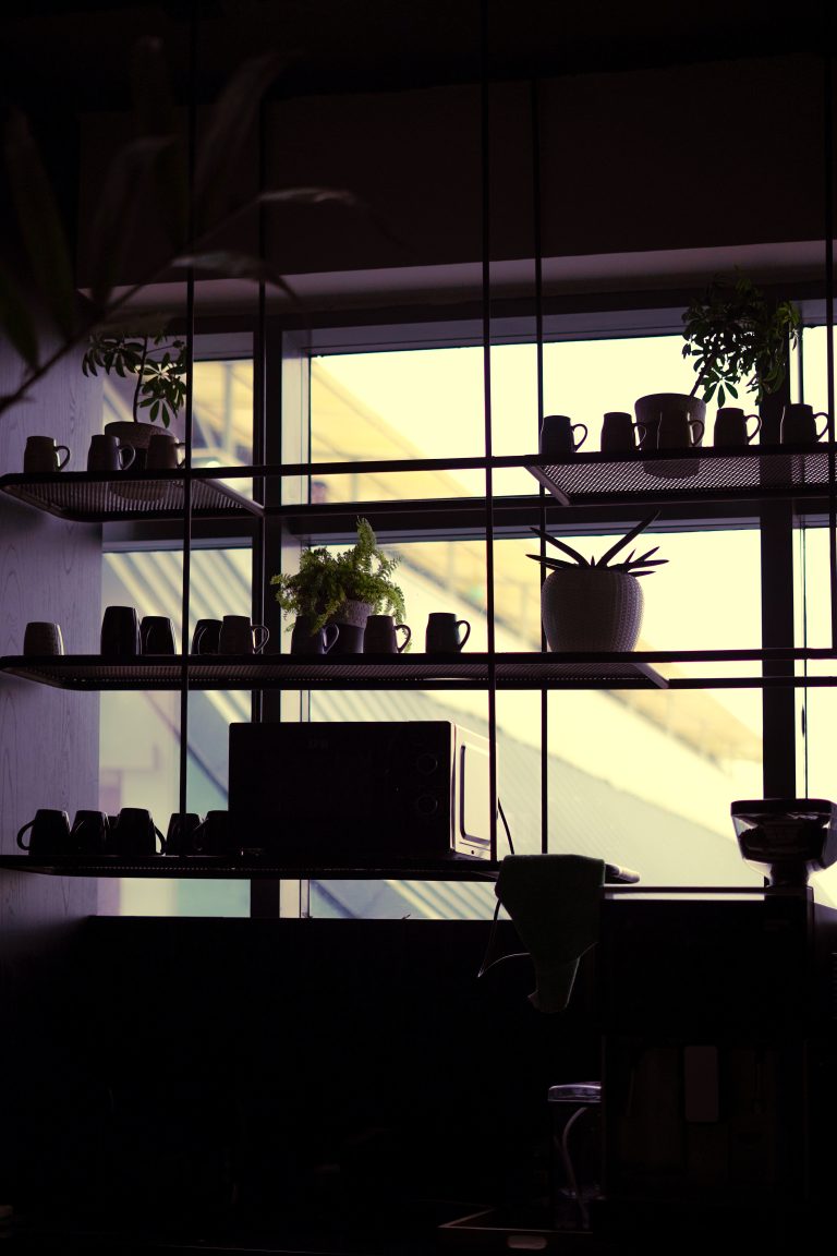 Kitchen area is illuminated in shades of light, where cups, an oven, flowers, and pots are placed on a rack.