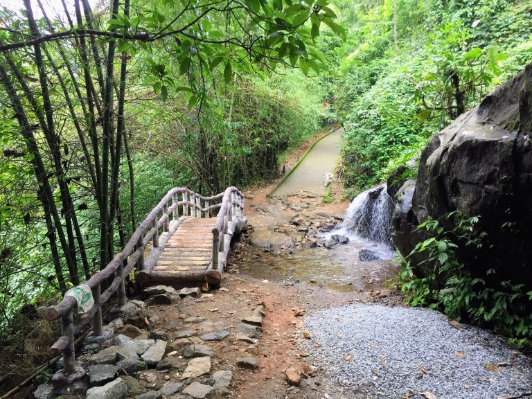 Small bridge over a creek at the bottom of a waterfall in a lush green forest